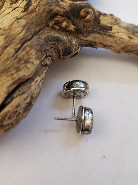 Green Sonoran Gold Turquoise Studs