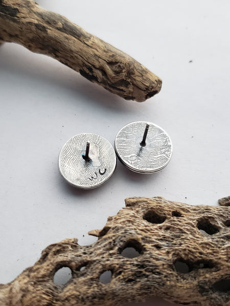 Sleeping Beauty Turquoise Stud Earrings